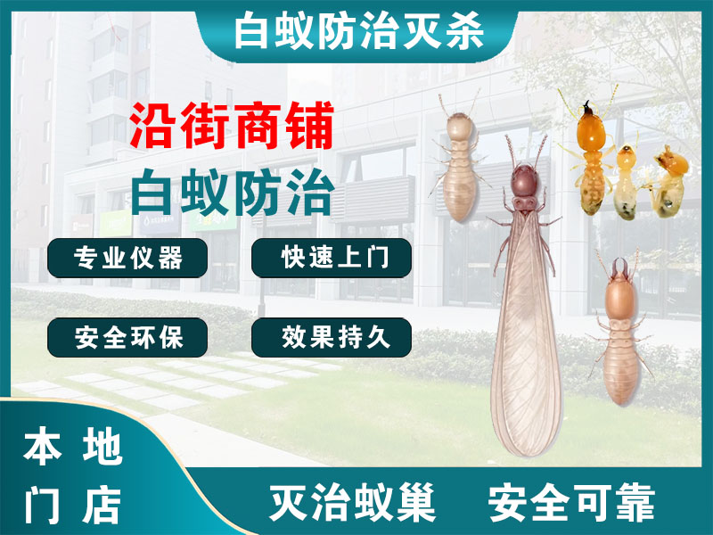 淮阴沿街商铺白蚁防治