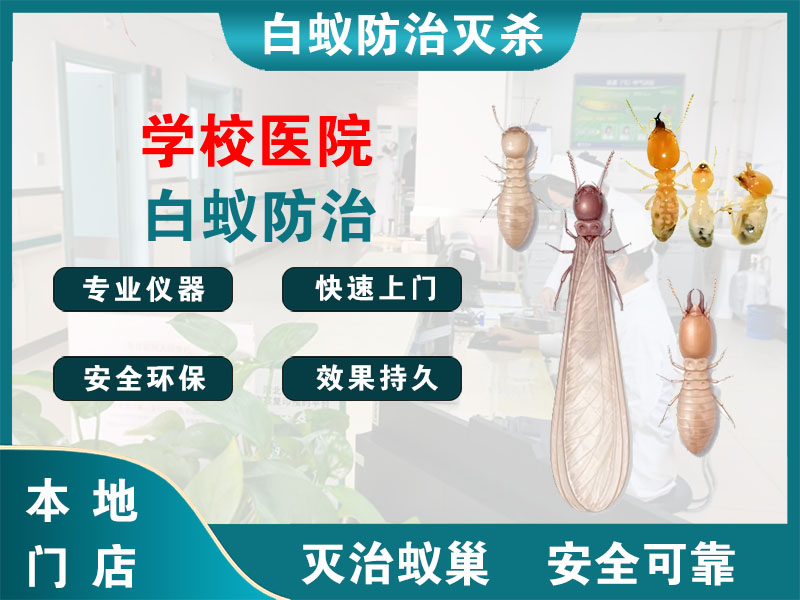 淮阴学校医院白蚁防治