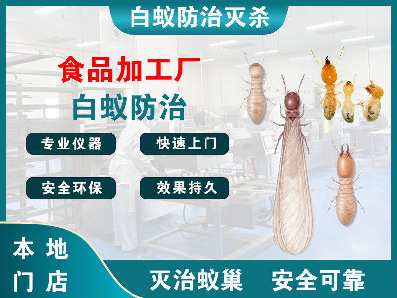 淮阴食品加工厂白蚁防治