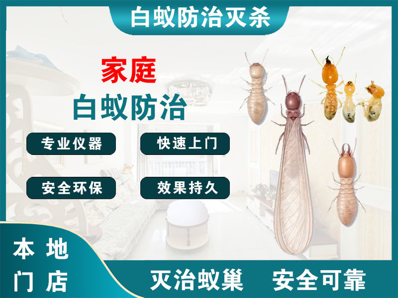 淮阴家庭白蚁防治