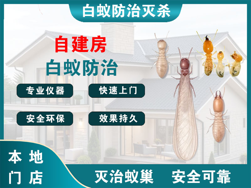 淮阴自建房白蚁防治