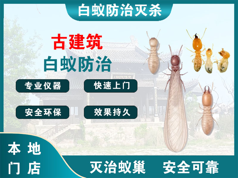 淮阴古建筑白蚁防治