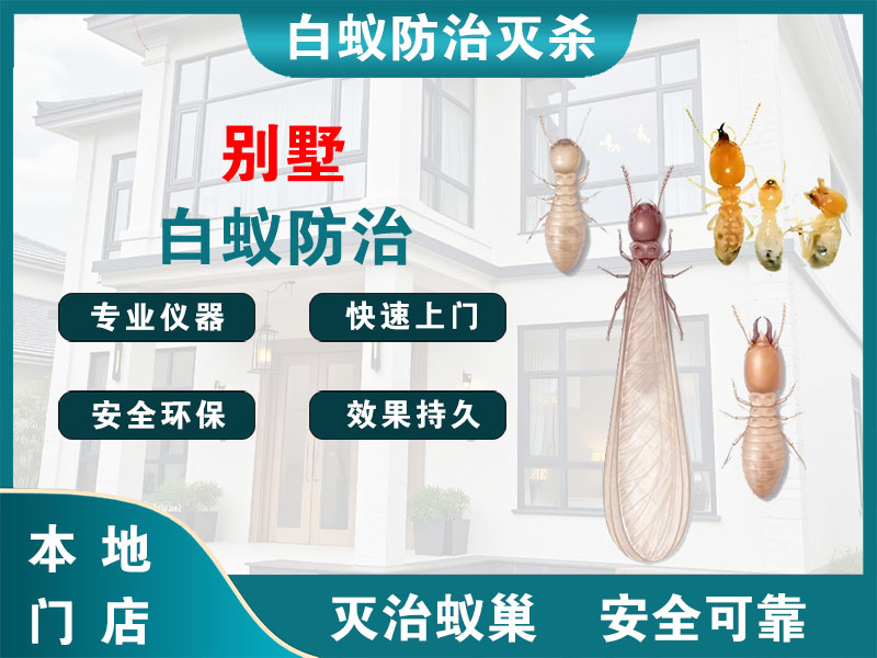 淮阴别墅白蚁防治