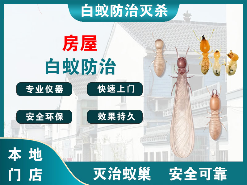 淮阴房屋白蚁防治